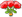 Rosenstrau� (25 Rosen)