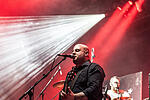 Broilers