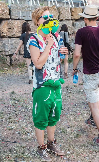 Traumsafari Festival