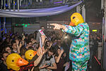 Ingo ohne Flamingo
