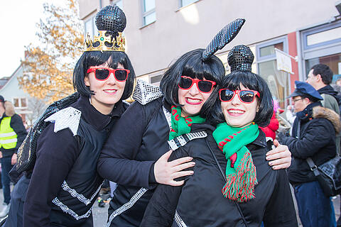 Faschingszug Heidingsfeld Teil 2