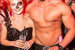Porno Party