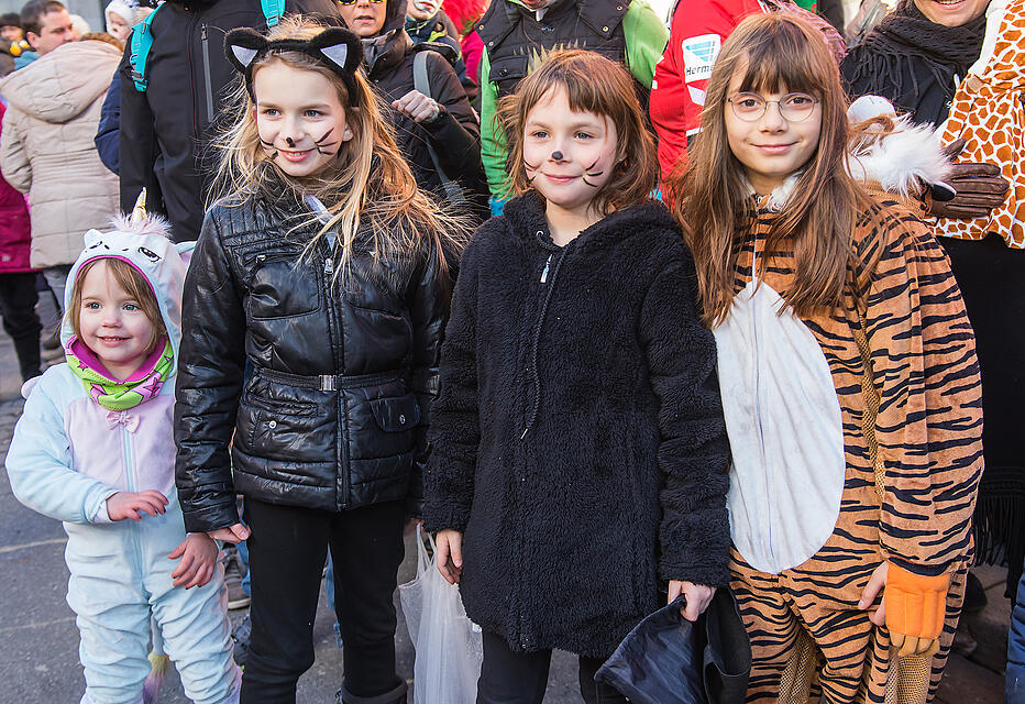 Faschingszug Heidingsfeld Teil 2