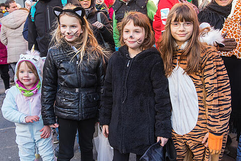 Faschingszug Heidingsfeld Teil 2