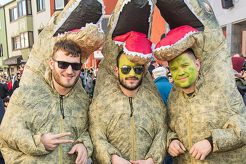 Faschingszug Heidingsfeld Teil 2