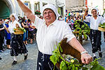 Festzug Volkacher Weinfest