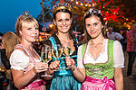 Weinfest Kitzingen