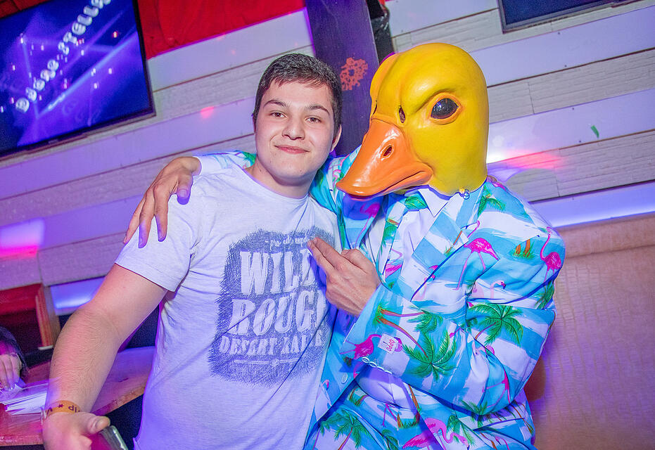 Ingo ohne Flamingo