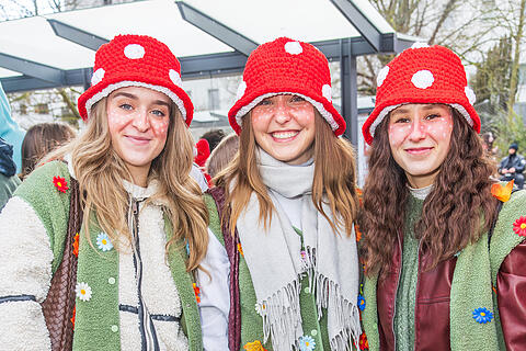 Faschingszug Heidingsfeld