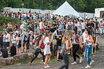 Traumsafari Festival