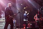 Broilers