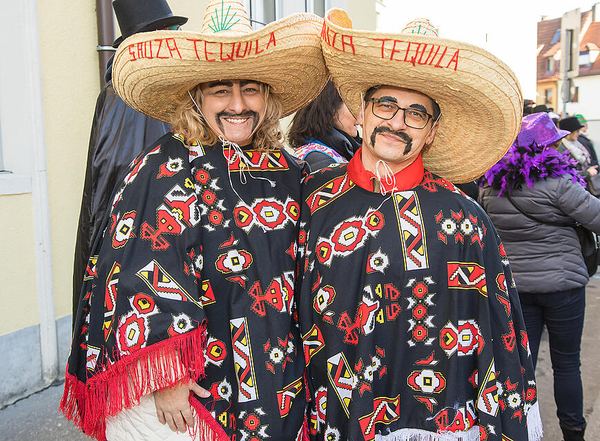 Faschingszug Heidingsfeld Teil 2