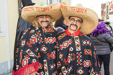 Faschingszug Heidingsfeld Teil 2