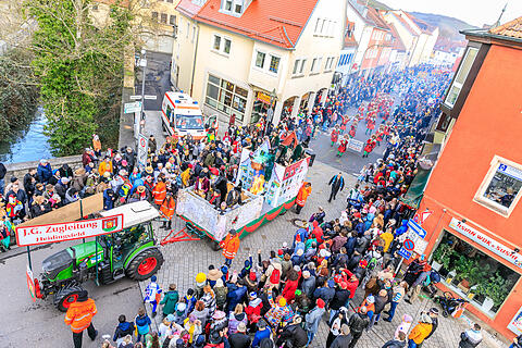 Faschingszug Heidingsfeld