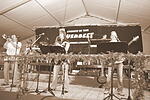 Weinfest Nenzenheim