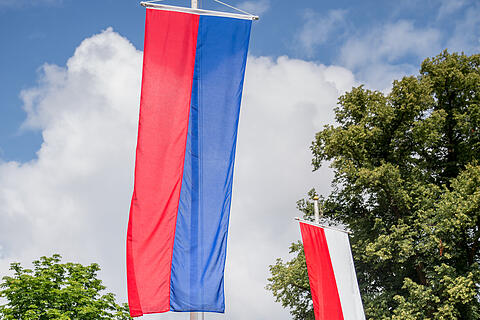 Heimf&uuml;hrung der Braut des F&uuml;rsten Castell-R&uuml;denhausen