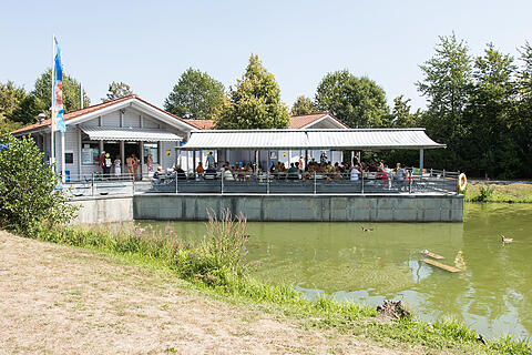 Sommer in Mainfranken