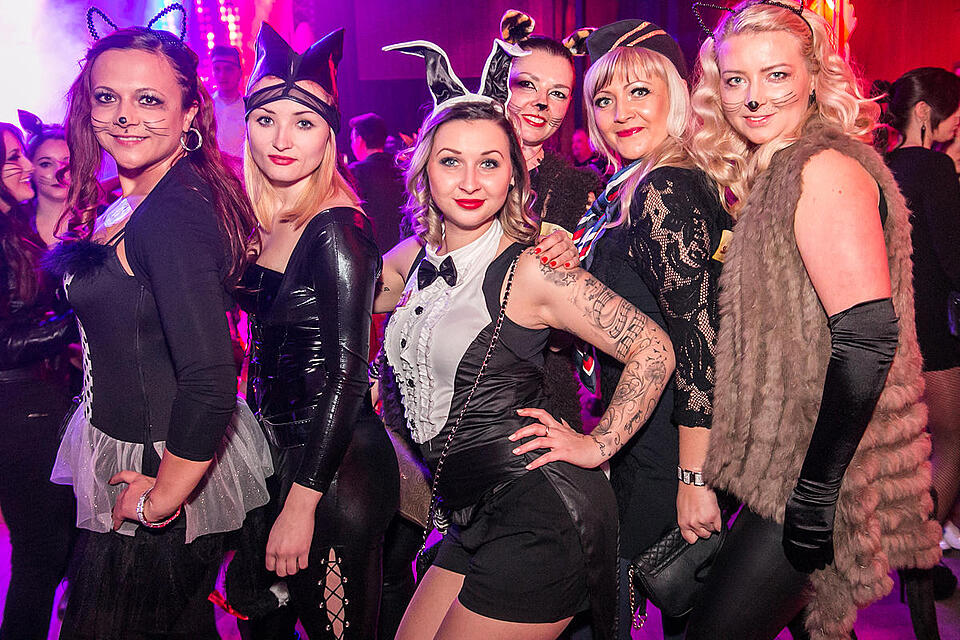 Porno Party