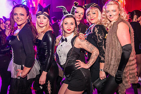 Porno Party
