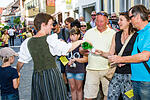 Festzug Volkacher Weinfest