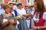 Festzug Volkacher Weinfest