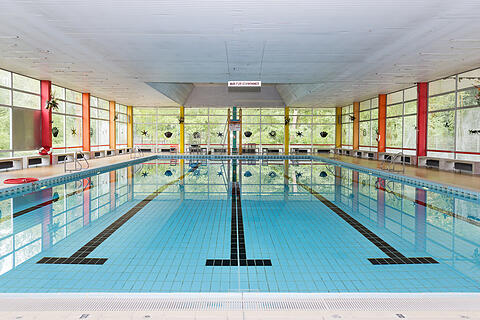 Im Becken mit Meermann Chris
