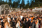 Traumsafari Festival