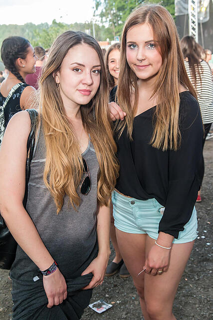 Traumsafari Festival