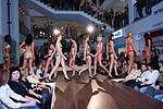 Main-Topmodel Finale 2009