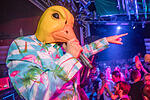 Ingo ohne Flamingo