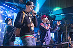 Money Boy