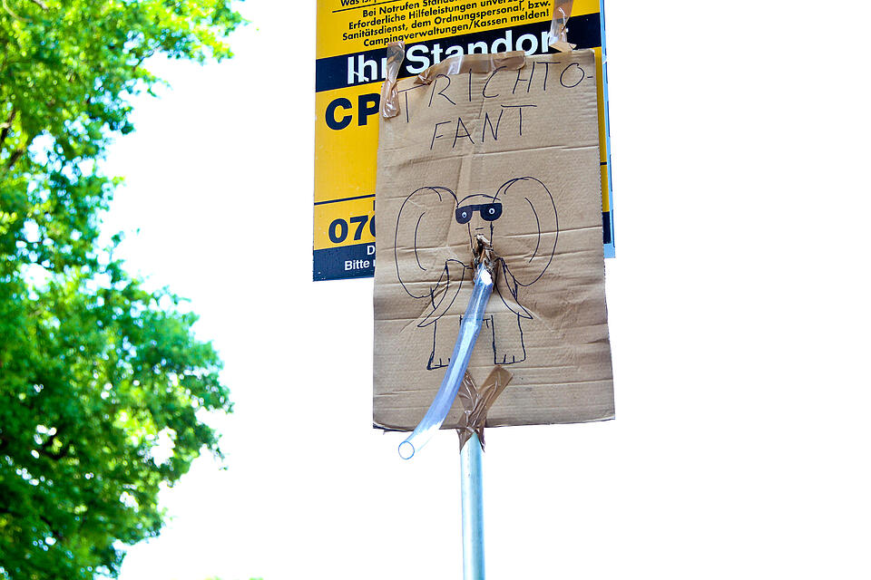 Rock im Park Sonntag