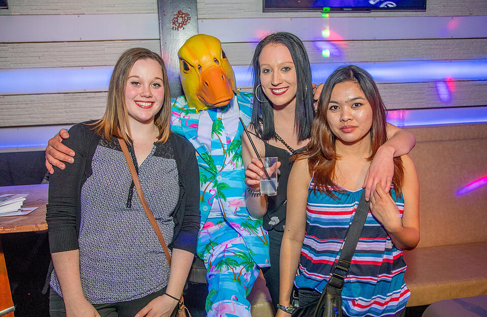 Ingo ohne Flamingo