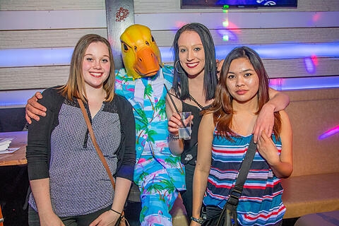 Ingo ohne Flamingo