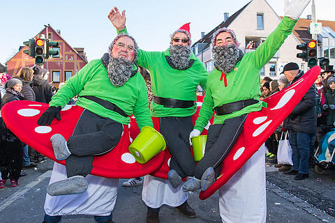 Faschingszug Heidingsfeld Teil 2