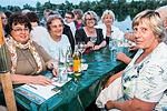 Weinfest Kitzingen