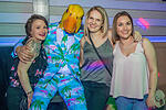 Ingo ohne Flamingo
