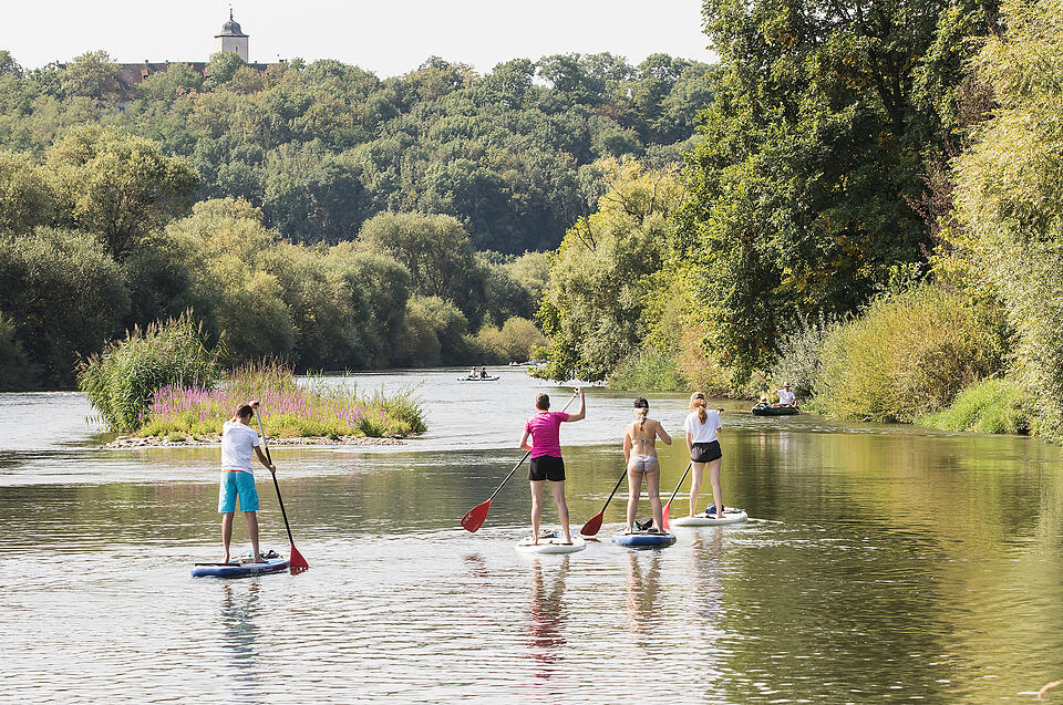 Sommer in Mainfranken