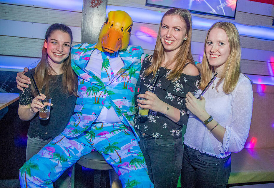 Ingo ohne Flamingo