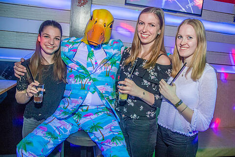 Ingo ohne Flamingo