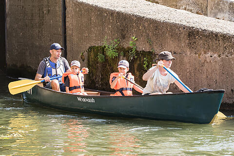 Sommer in Mainfranken