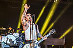 Broilers