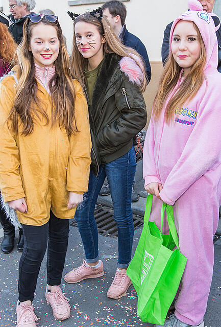 Faschingszug Heidingsfeld Teil 2