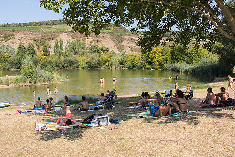 Sommer in Mainfranken