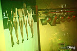IMG_9186-copy
