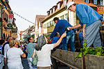 Festzug Volkacher Weinfest