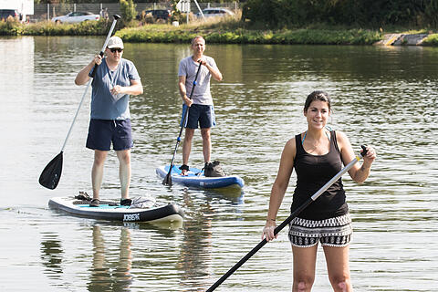 Sommer in Mainfranken