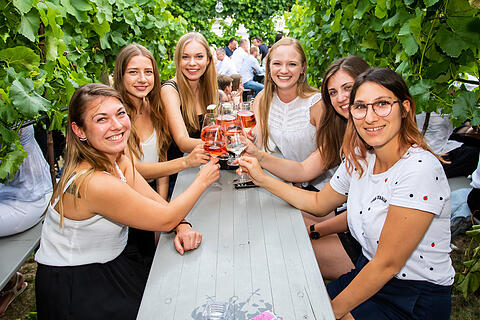 Wein am Stein