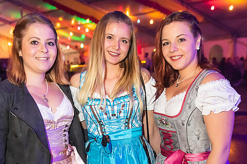 Weinfest Untereisenheim