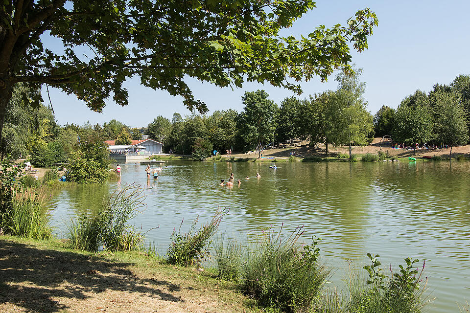 Sommer in Mainfranken